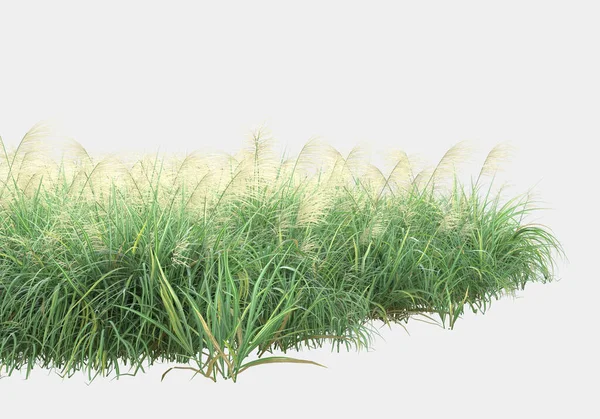 Gri arka planda izole edilmiş çimen adası. 3d görüntüleme - illüstrasyon