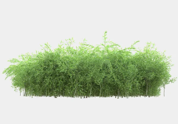 春天的花朵和青草在灰色的背景上隔离开来 3D渲染 — 图库照片