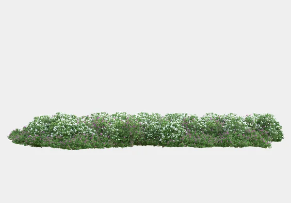 Våren Blommor Och Gräs Isolerad Grå Bakgrund Återgivning Illustration — Stockfoto