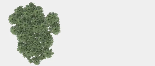Весняні Квіти Трава Ізольовані Сірому Фоні Візуалізація Ілюстрація — стокове фото