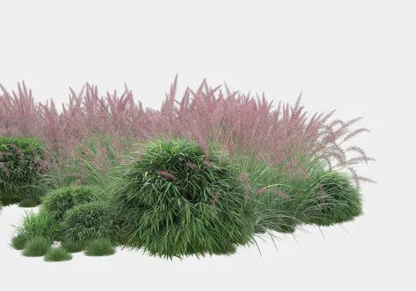 Gri arka planda çiçekli çimen tarlası. 3d görüntüleme - illüstrasyon