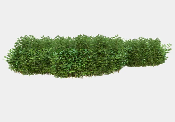 灰色の背景に孤立した花を持つ草のフィールド 3Dレンダリング イラスト — ストック写真