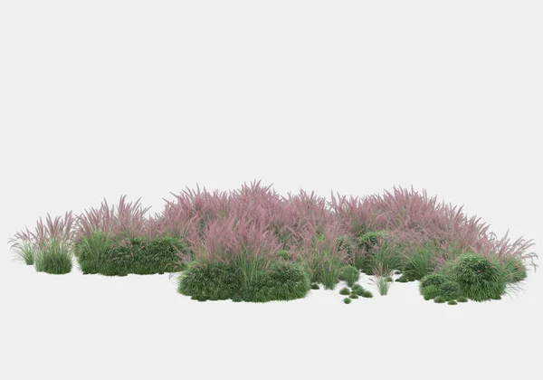 灰色の背景に孤立した花を持つ草のフィールド 3Dレンダリング イラスト — ストック写真