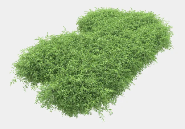 Grasveld Met Bloemen Geïsoleerd Grijze Achtergrond Weergave Illustratie — Stockfoto