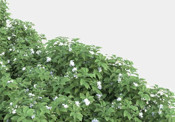 Gräsplan Med Blommor Isolerade Grå Bakgrund Återgivning Illustration — Stockfoto