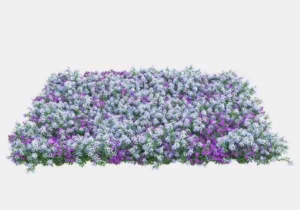 Wildes Gras Mit Blumen Auf Grauem Hintergrund Darstellung Illustration — Stockfoto