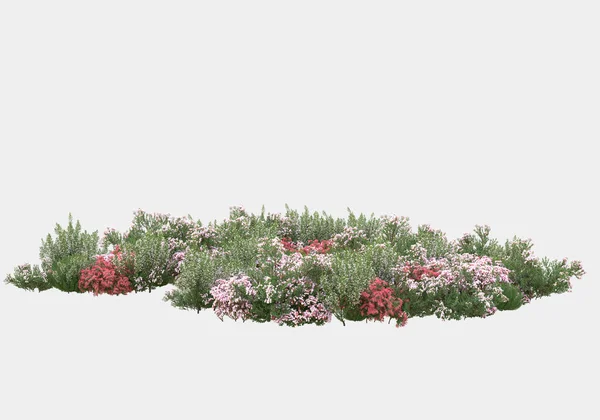 Gri arka planda çiçekli yabani otlar. 3d görüntüleme - illüstrasyon
