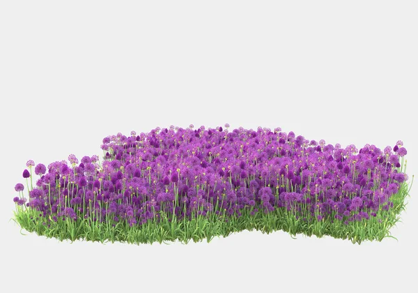 Wildes Gras Mit Blumen Auf Grauem Hintergrund Darstellung Illustration — Stockfoto