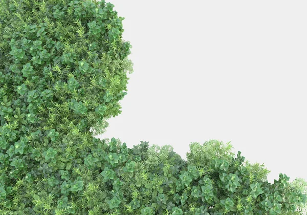 在灰色背景下孤立的野草和草皮 3D渲染 — 图库照片