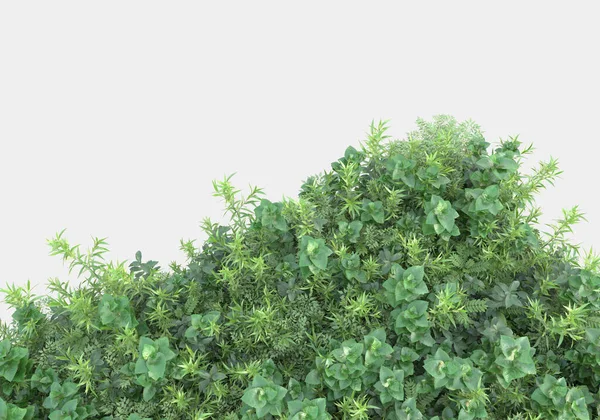 灰色の背景に隔離された野生の草や芝 3Dレンダリング イラスト — ストック写真