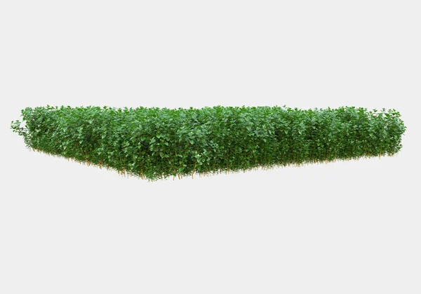 在灰色背景下孤立的野草和草皮 3D渲染 — 图库照片