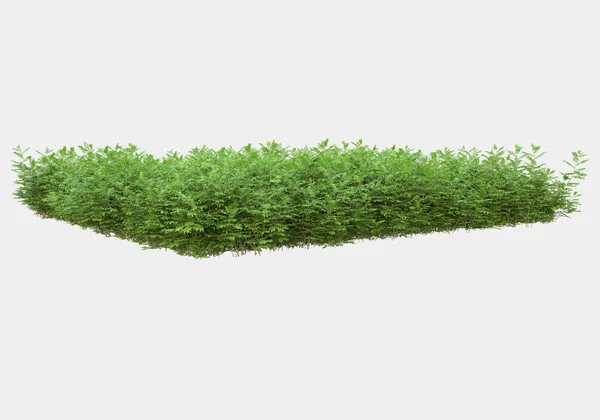 灰色の背景に孤立した低木や花の島 3Dレンダリング イラスト — ストック写真
