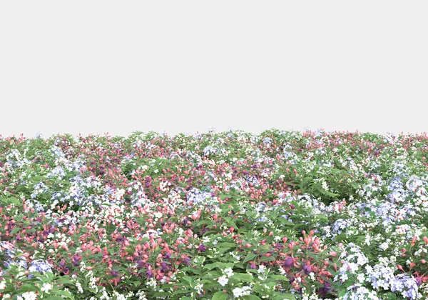 Insel Der Sträucher Und Blumen Isoliert Auf Grauem Hintergrund Darstellung — Stockfoto