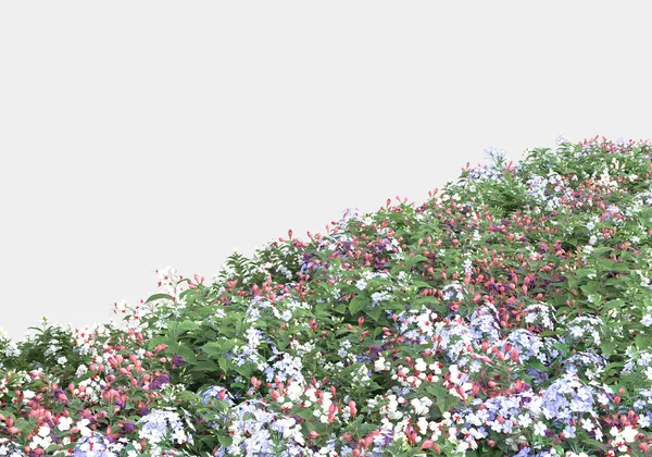 Buskar Och Blommor Isolerad Grå Bakgrund Återgivning Illustration — Stockfoto