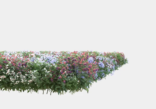 Isla Arbustos Flores Aisladas Sobre Fondo Gris Representación Ilustración — Foto de Stock