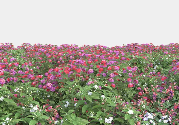 Insel Der Sträucher Und Blumen Isoliert Auf Grauem Hintergrund Darstellung — Stockfoto