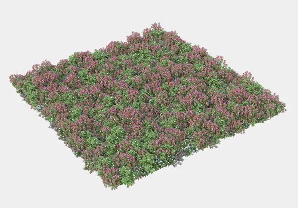 배경에는 관목과 꽃들로 이루어진 렌더링 — 스톡 사진