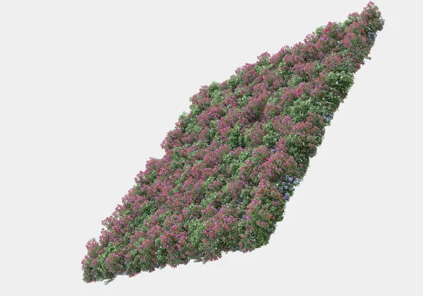 一座座被灰色背景隔开的灌木和花朵的小岛 3D渲染 — 图库照片