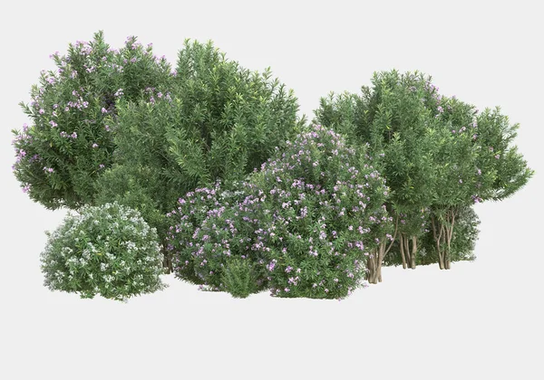 Gri arka planda çiçekli yabani otlar. 3d görüntüleme - illüstrasyon