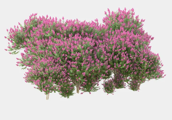 Gri arka planda çiçekli yabani otlar. 3d görüntüleme - illüstrasyon