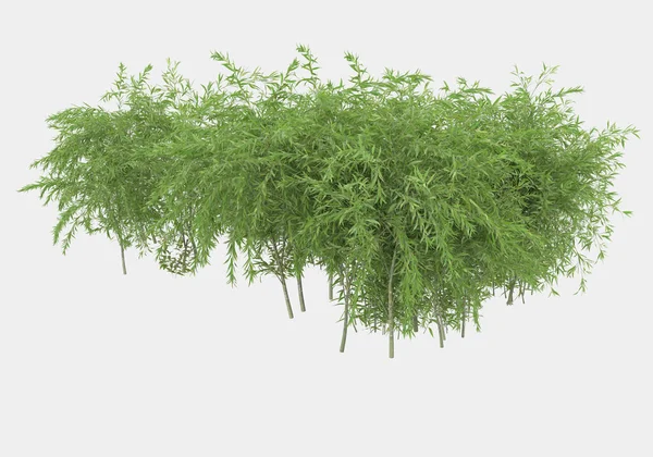 Zelený Povrch Pokrytý Divokou Trávou Květy Izolované Šedém Pozadí Pro — Stock fotografie