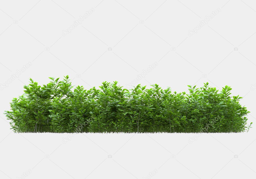 Island of grass isolated on grey background. 3d rendering - illustration