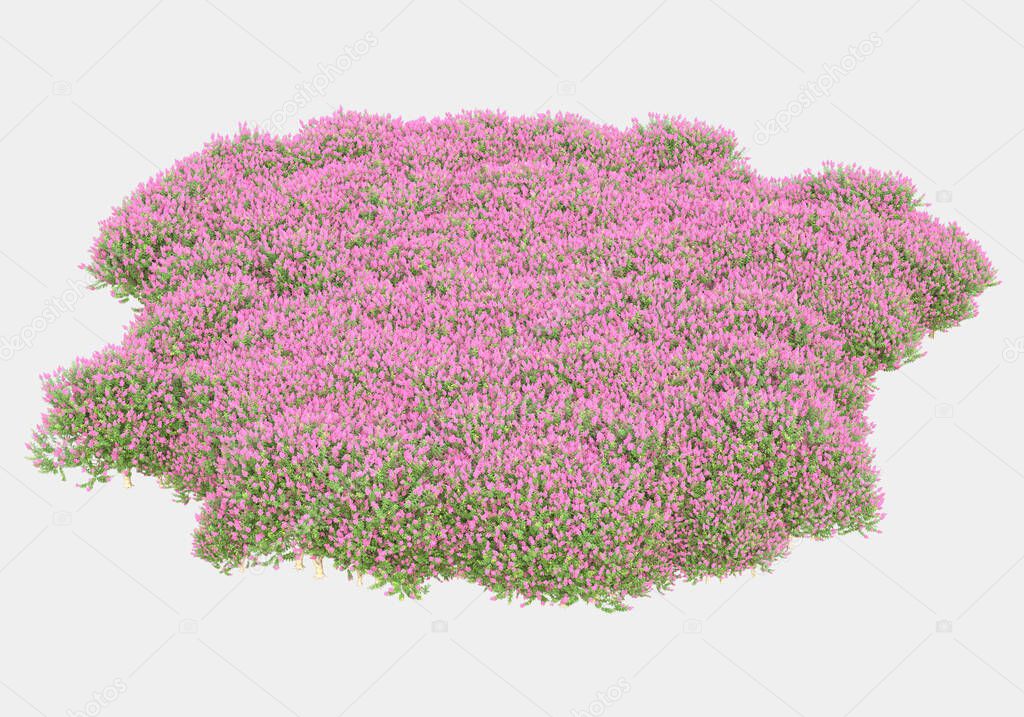Spring flowers and grass isolated on grey background. 3d rendering - illustration