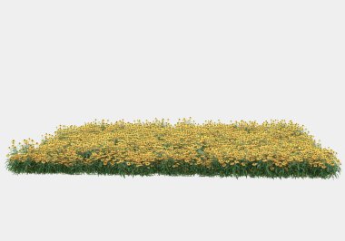 Yeşil yüzey yabani ot ve çiçeklerle kaplıydı. Gri arka planda pankartlar için izole edilmişti. 3d görüntüleme - illüstrasyon