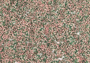 Yeşil yüzey yabani ot ve çiçeklerle kaplıydı. Gri arka planda pankartlar için izole edilmişti. 3d görüntüleme - illüstrasyon