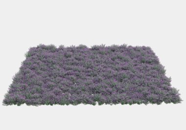 Yeşil yüzey yabani ot ve çiçeklerle kaplıydı. Gri arka planda pankartlar için izole edilmişti. 3d görüntüleme - illüstrasyon