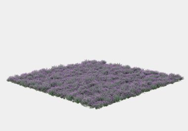 Yeşil yüzey yabani ot ve çiçeklerle kaplıydı. Gri arka planda pankartlar için izole edilmişti. 3d görüntüleme - illüstrasyon