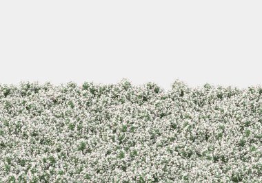 Yeşil yüzey yabani ot ve çiçeklerle kaplıydı. Gri arka planda pankartlar için izole edilmişti. 3d görüntüleme - illüstrasyon