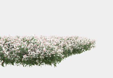 Yeşil yüzey yabani ot ve çiçeklerle kaplıydı. Gri arka planda pankartlar için izole edilmişti. 3d görüntüleme - illüstrasyon