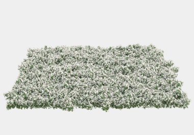 Yeşil yüzey yabani ot ve çiçeklerle kaplıydı. Gri arka planda pankartlar için izole edilmişti. 3d görüntüleme - illüstrasyon