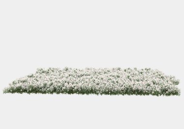 Yeşil yüzey yabani ot ve çiçeklerle kaplıydı. Gri arka planda pankartlar için izole edilmişti. 3d görüntüleme - illüstrasyon