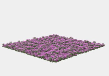 Yeşil yüzey yabani ot ve çiçeklerle kaplıydı. Gri arka planda pankartlar için izole edilmişti. 3d görüntüleme - illüstrasyon