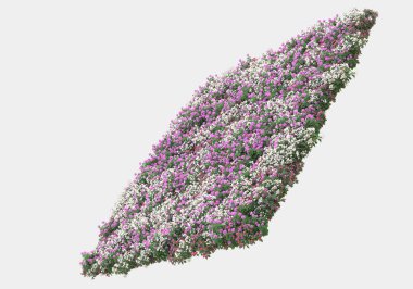 Yeşil yüzey yabani ot ve çiçeklerle kaplıydı. Gri arka planda pankartlar için izole edilmişti. 3d görüntüleme - illüstrasyon