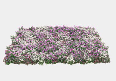 Yeşil yüzey yabani ot ve çiçeklerle kaplıydı. Gri arka planda pankartlar için izole edilmişti. 3d görüntüleme - illüstrasyon