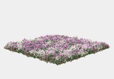 Yeşil yüzey yabani ot ve çiçeklerle kaplıydı. Gri arka planda pankartlar için izole edilmişti. 3d görüntüleme - illüstrasyon