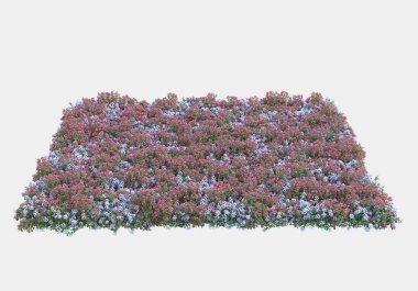 Gri arka planda yalnız kalmış çiçekli yabani çalılar. 3d görüntüleme - illüstrasyon