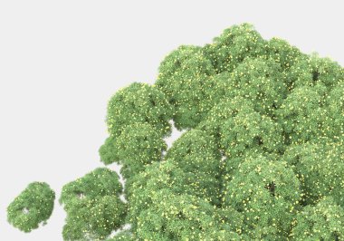 Gri arka planda yalnız kalmış çiçekli yabani çalılar. 3d görüntüleme - illüstrasyon