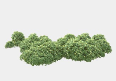 Gri arka planda yalnız kalmış çiçekli yabani çalılar. 3d görüntüleme - illüstrasyon