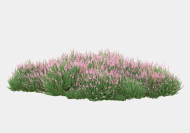 Gri arka planda yalnız kalmış çiçekli yabani çalılar. 3d görüntüleme - illüstrasyon