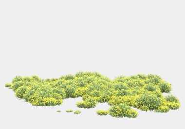 Gri arka planda yalnız kalmış çiçekli yabani çalılar. 3d görüntüleme - illüstrasyon