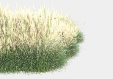 Gri arka planda yalnız kalmış çiçekli yabani çalılar. 3d görüntüleme - illüstrasyon