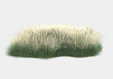 Gri arka planda yalnız kalmış çiçekli yabani çalılar. 3d görüntüleme - illüstrasyon