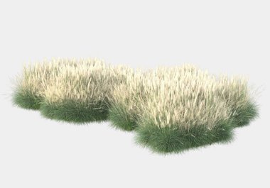 Gri arka planda yalnız kalmış çiçekli yabani çalılar. 3d görüntüleme - illüstrasyon