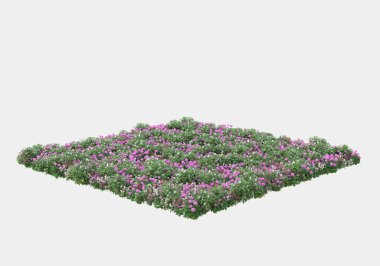 Gri arka planda yalnız kalmış çiçekli yabani çalılar. 3d görüntüleme - illüstrasyon