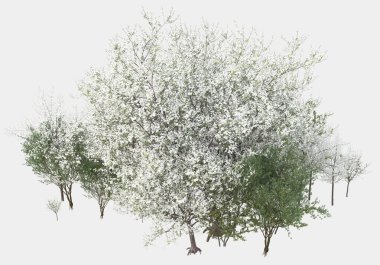 Gri arka planda izole edilmiş fotoğraf manipülasyonu için yeşillik. 3d görüntüleme - illüstrasyon