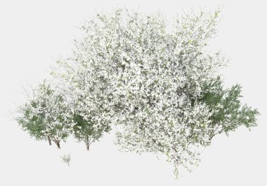 Gri arka planda yalnız kalmış çiçekli yabani çalılar. 3d görüntüleme - illüstrasyon